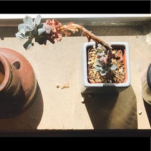 Meet your Posher, Ella